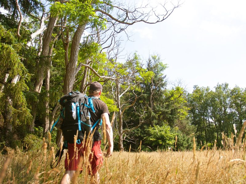 Hike & Click, hike n click, hike, hikenclick, wandelen, wandelreis, wandel, wandelreizen, avontuur, natuur, Europa, Noorwegen, Luxemburg, Belgie, Duitsland, Scandinavië, fotografie, foto, fotoreizen, fotoreis, leren, fotocursus, buiten, natuurlijk, wildernis, bergen, kampvuur, vuur, kamperen, ceder, Binie, Matthijs Smilde, ouder, kind, weekend, vakantie, weekendje weg, backpack, tocht, trail, Drenthe